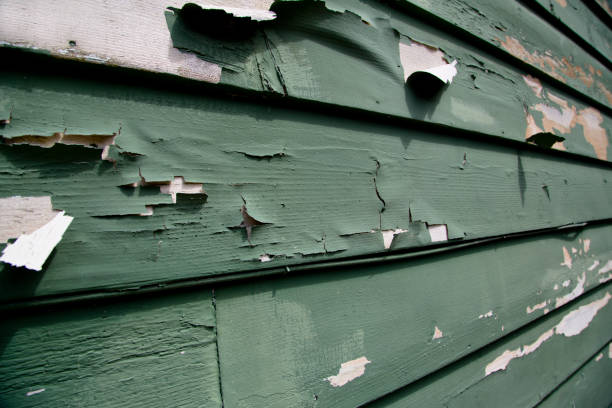Best Hoarding Cleanup  in Greybull, WY