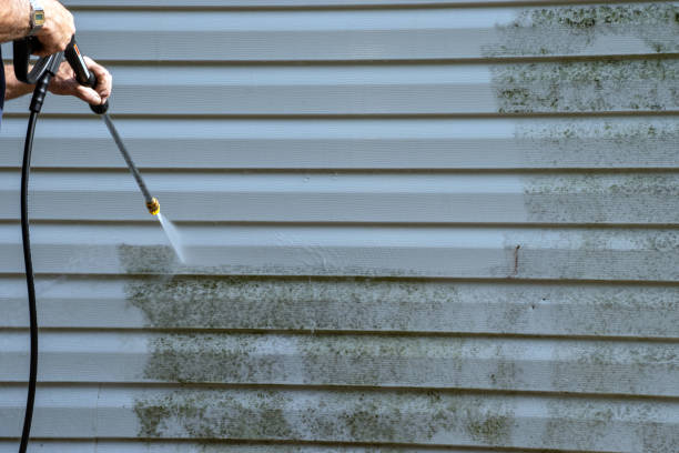 Best Shed Removal  in Greybull, WY